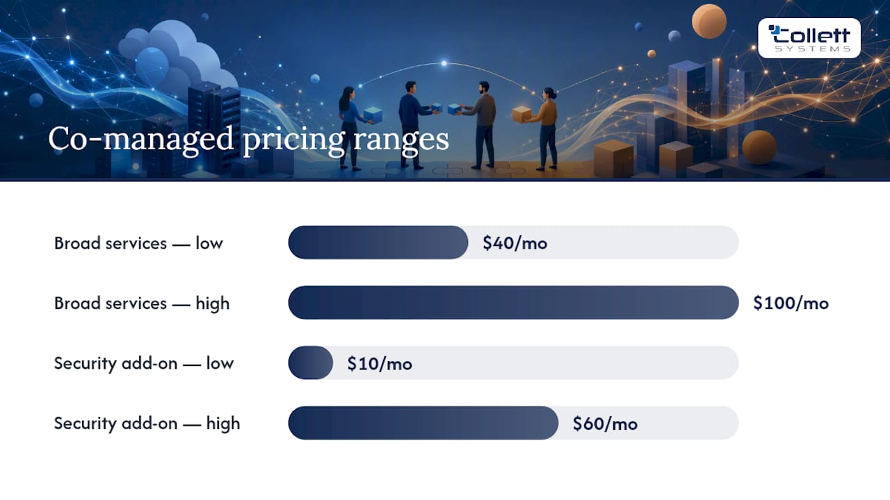 Diagram comparing co-managed IT service cost structures